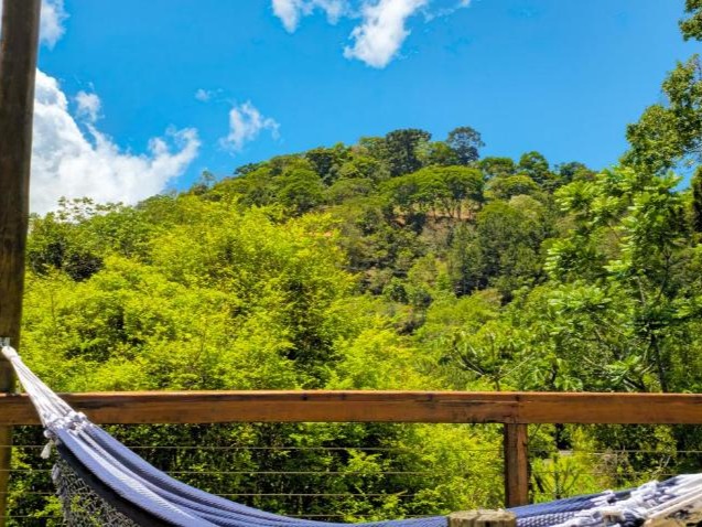 Cores e Flores da Serra